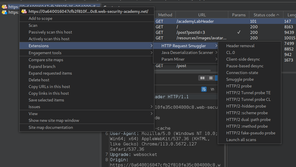 HTTP Request Smuggler